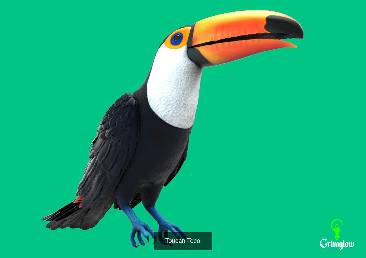 Amazon animals set 1 3D Model Collection_9