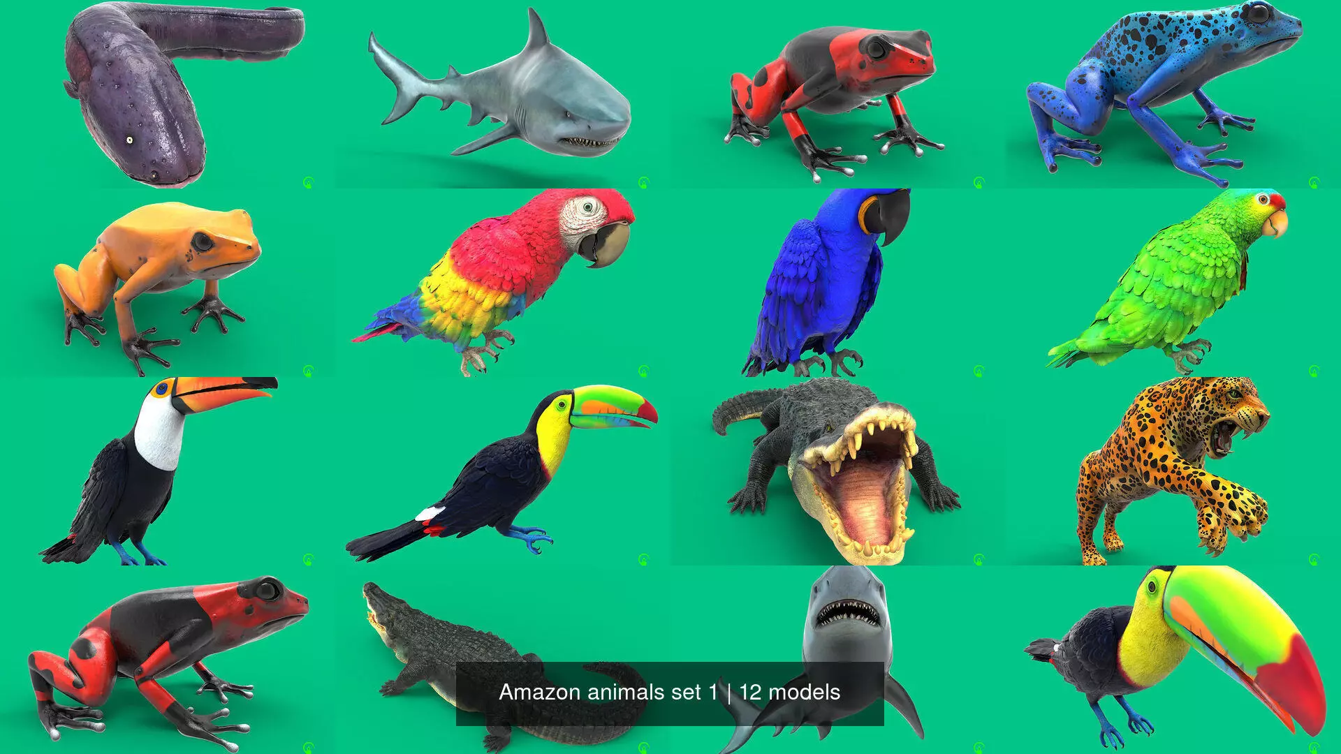 Amazon animals set 1 3D Model Collection_0