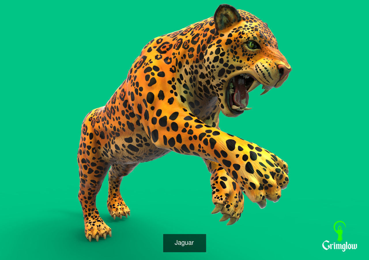 Amazon animals set 1 3D Model Collection_12