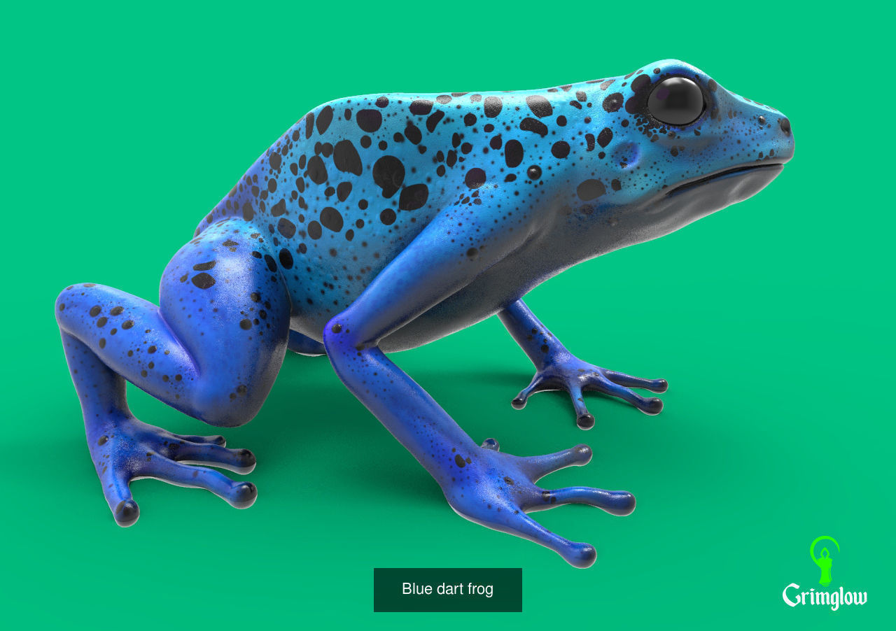 Amazon animals set 1 3D Model Collection_4