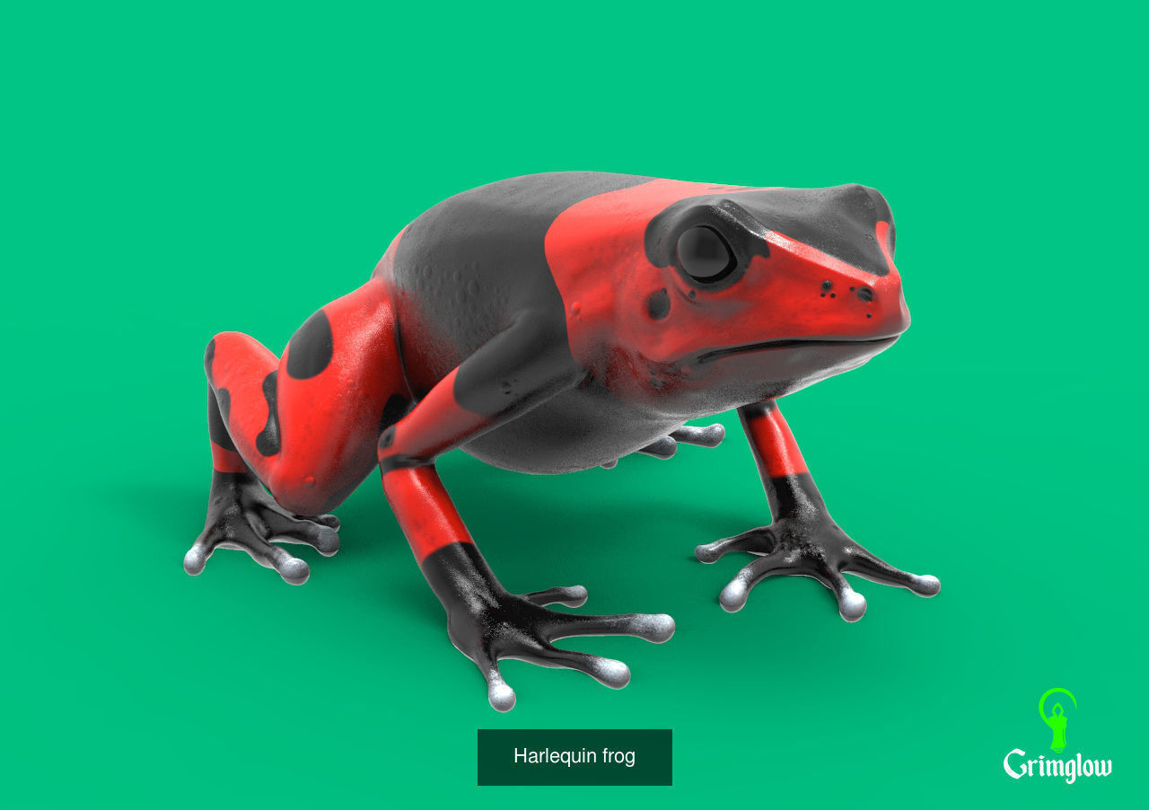 Amazon animals set 1 3D Model Collection_3