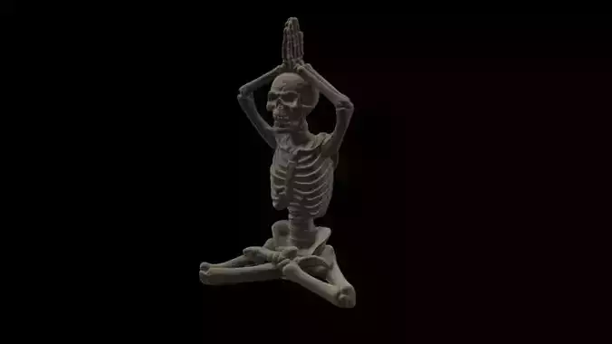 Yoga Skeleton 3D print model