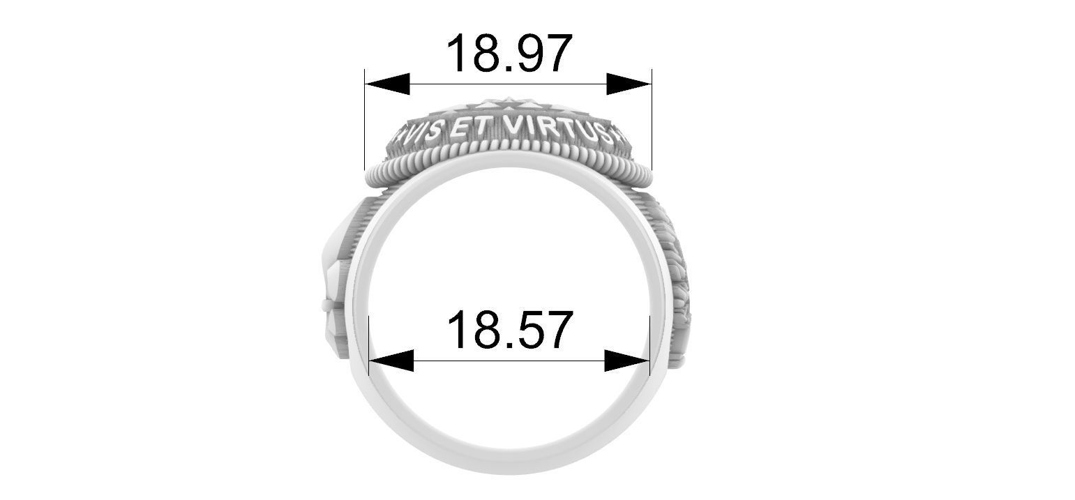 Scout Ring - Escoteiro  3D print model_7