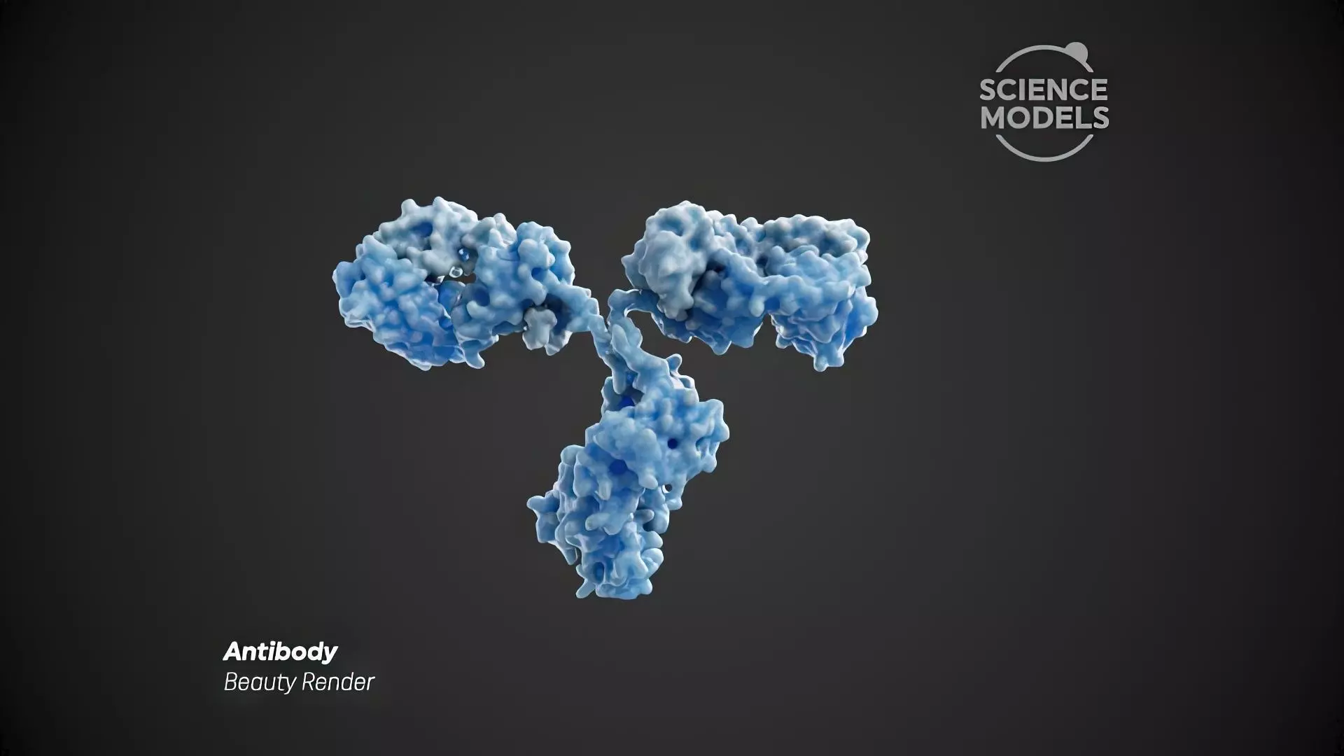 Antibody 1igt 3D model