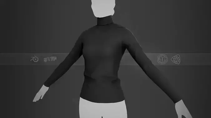 Black Turtle Neck Pull Top