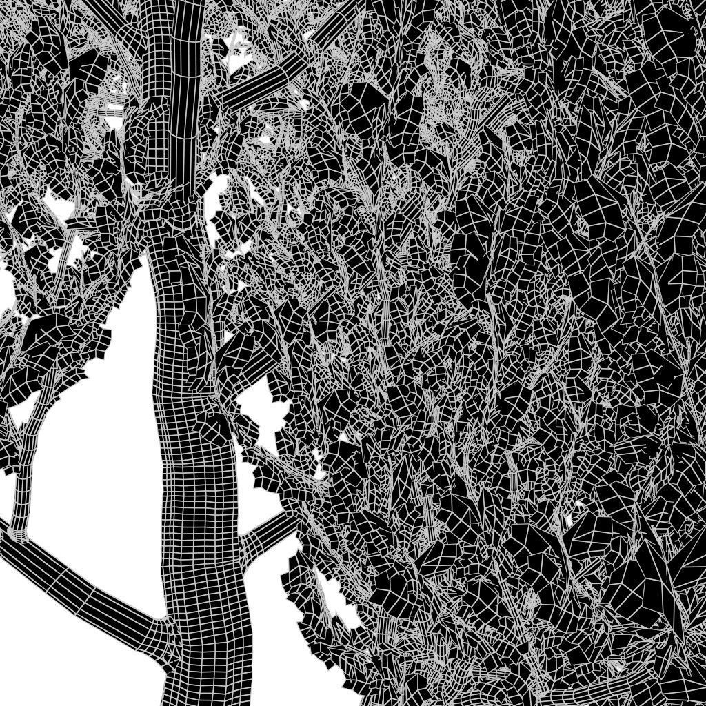 Platanus Tree Low-poly 3D model_9