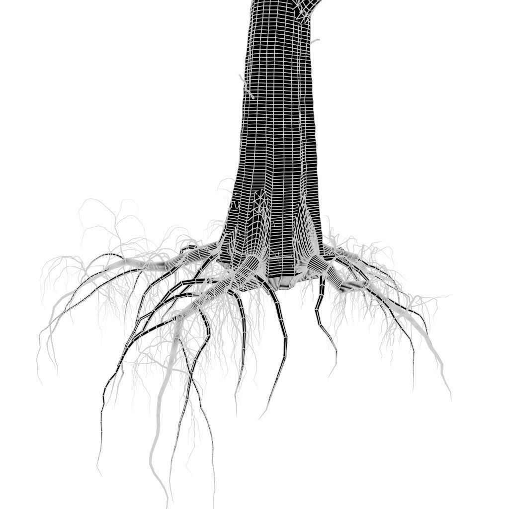 Platanus Tree Low-poly 3D model_8