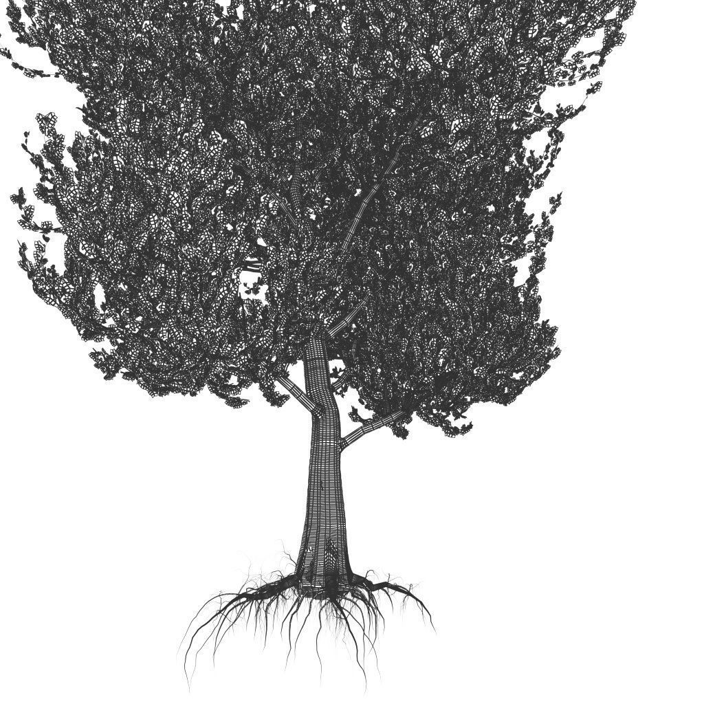 Platanus Tree Low-poly 3D model_6