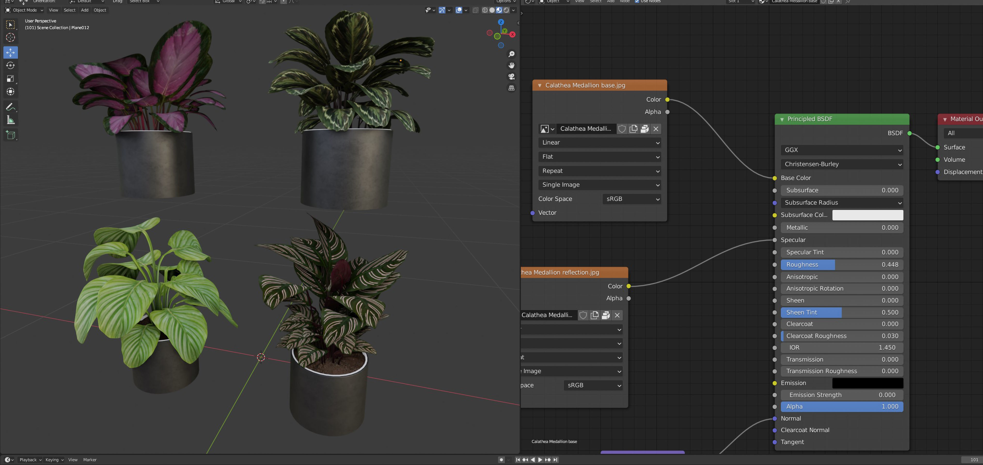 calathea Collection 3 - Blender model 3D model_5