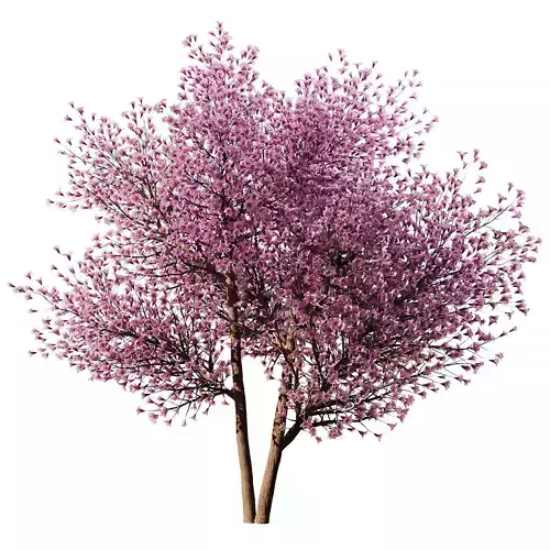 Spring Tree SetV1 3D model