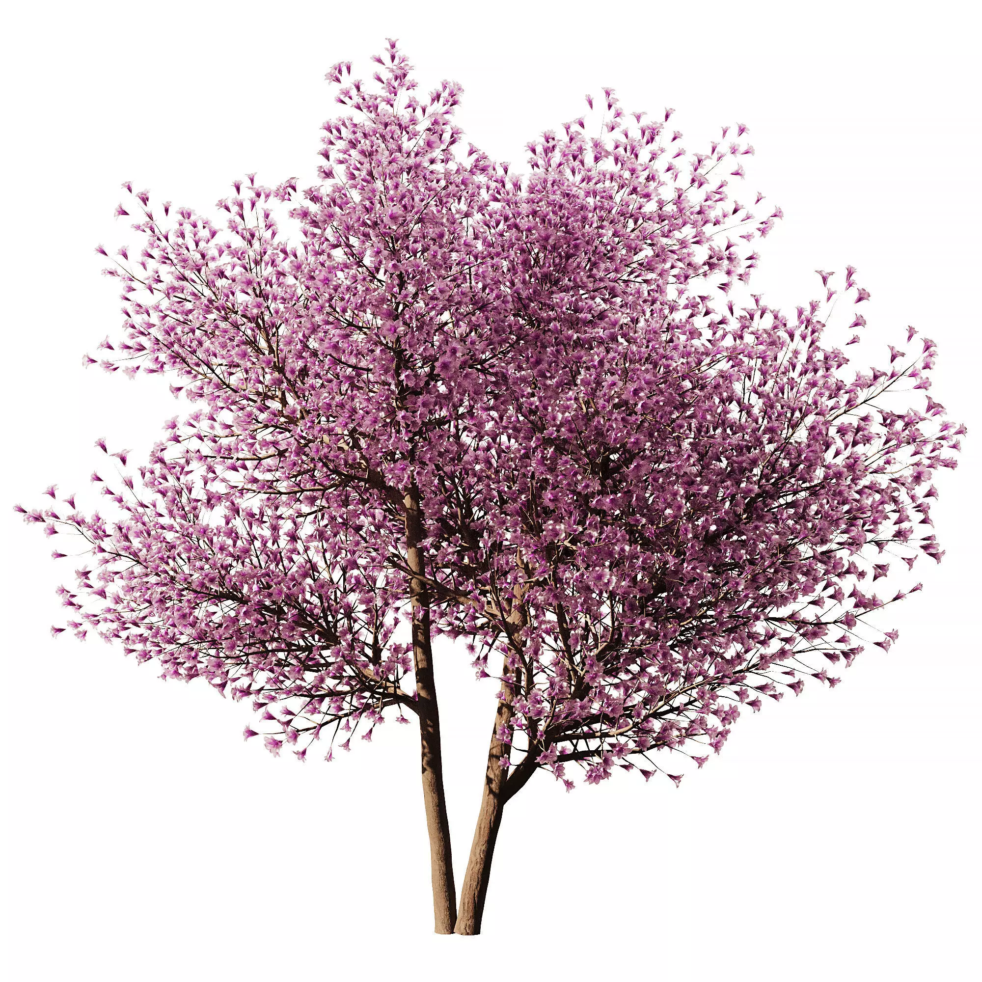 Spring Tree SetV1 3D model
