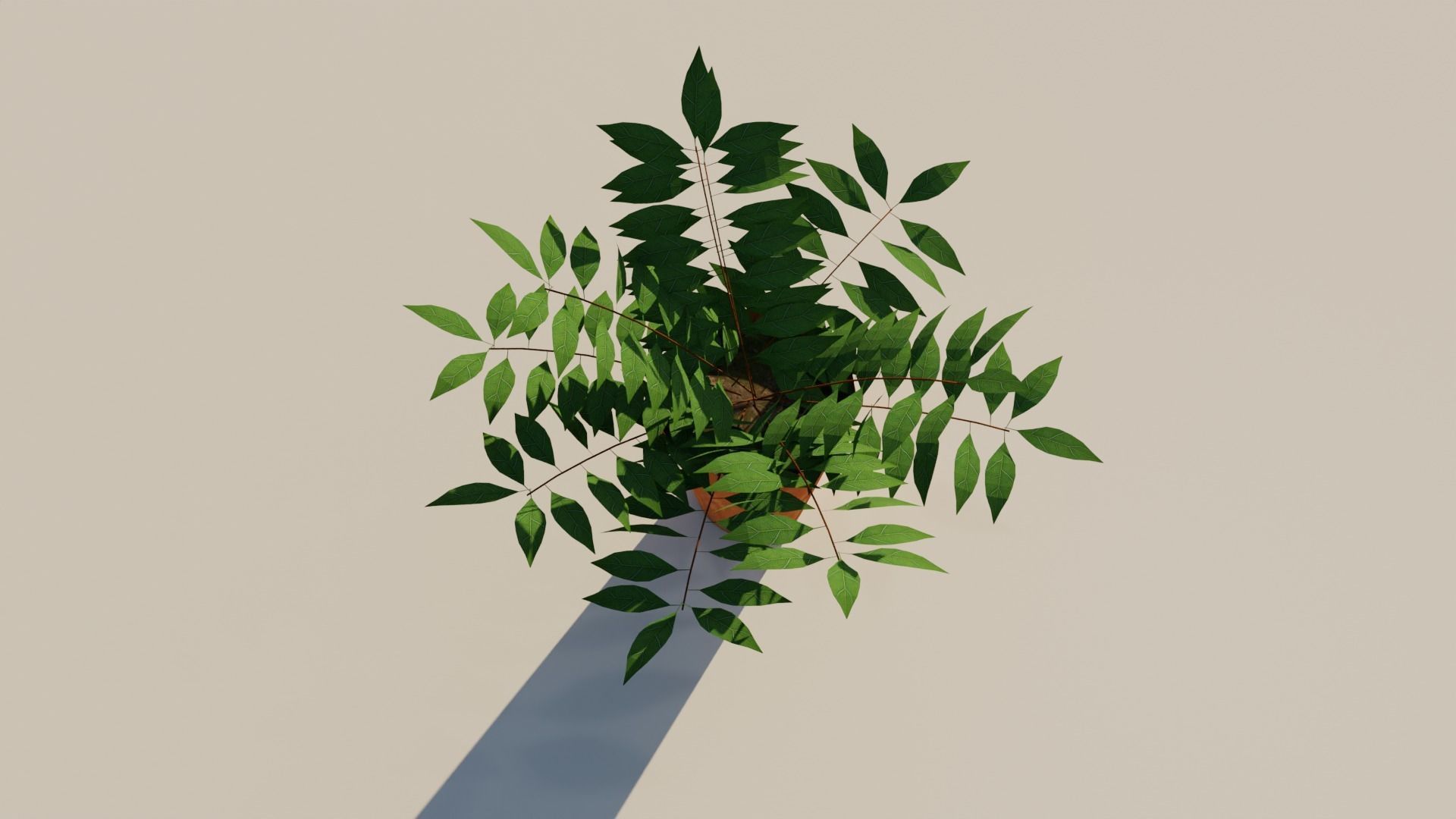 Plant Pot 3d Model 3D model_1