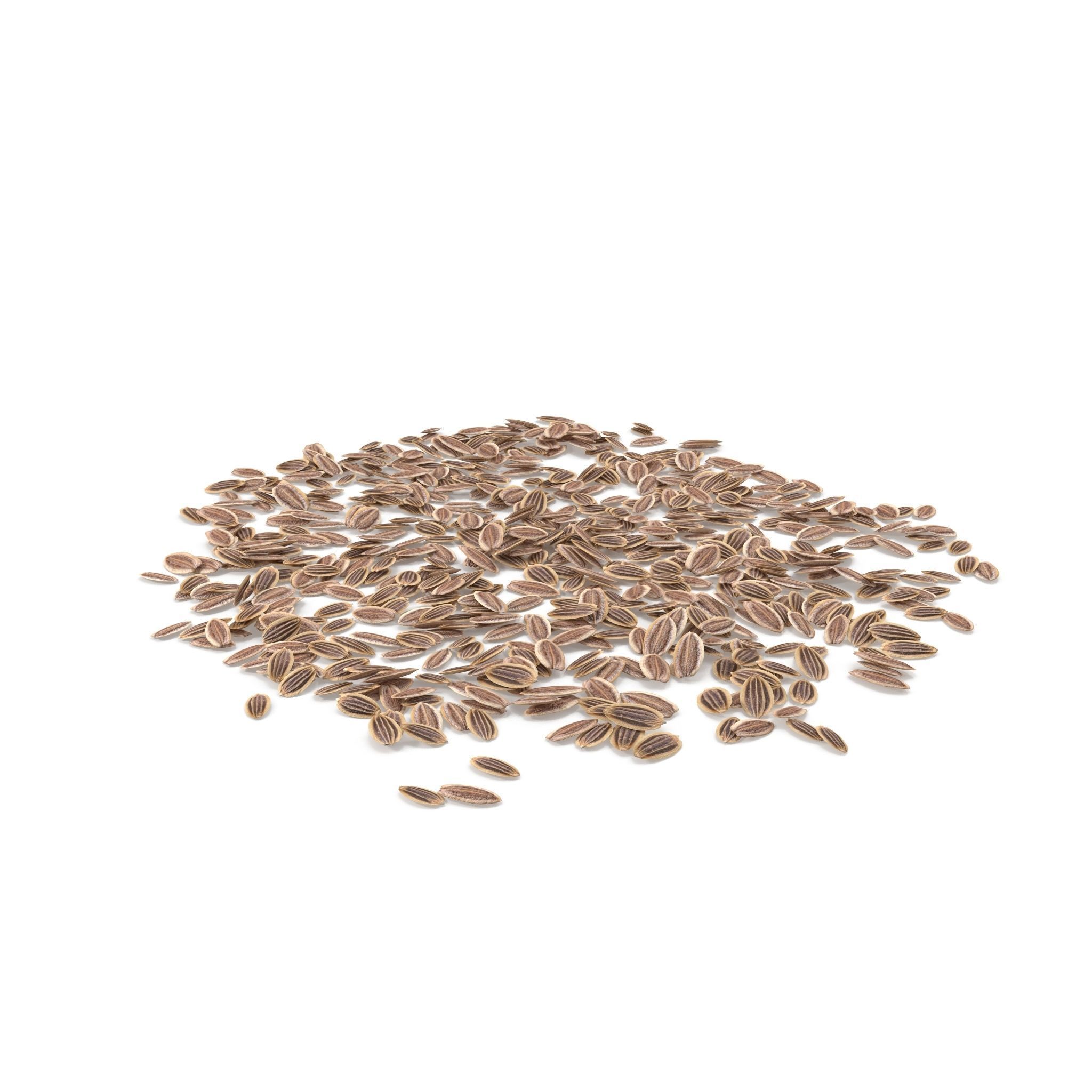 Dill Seeds V1 3D model_1
