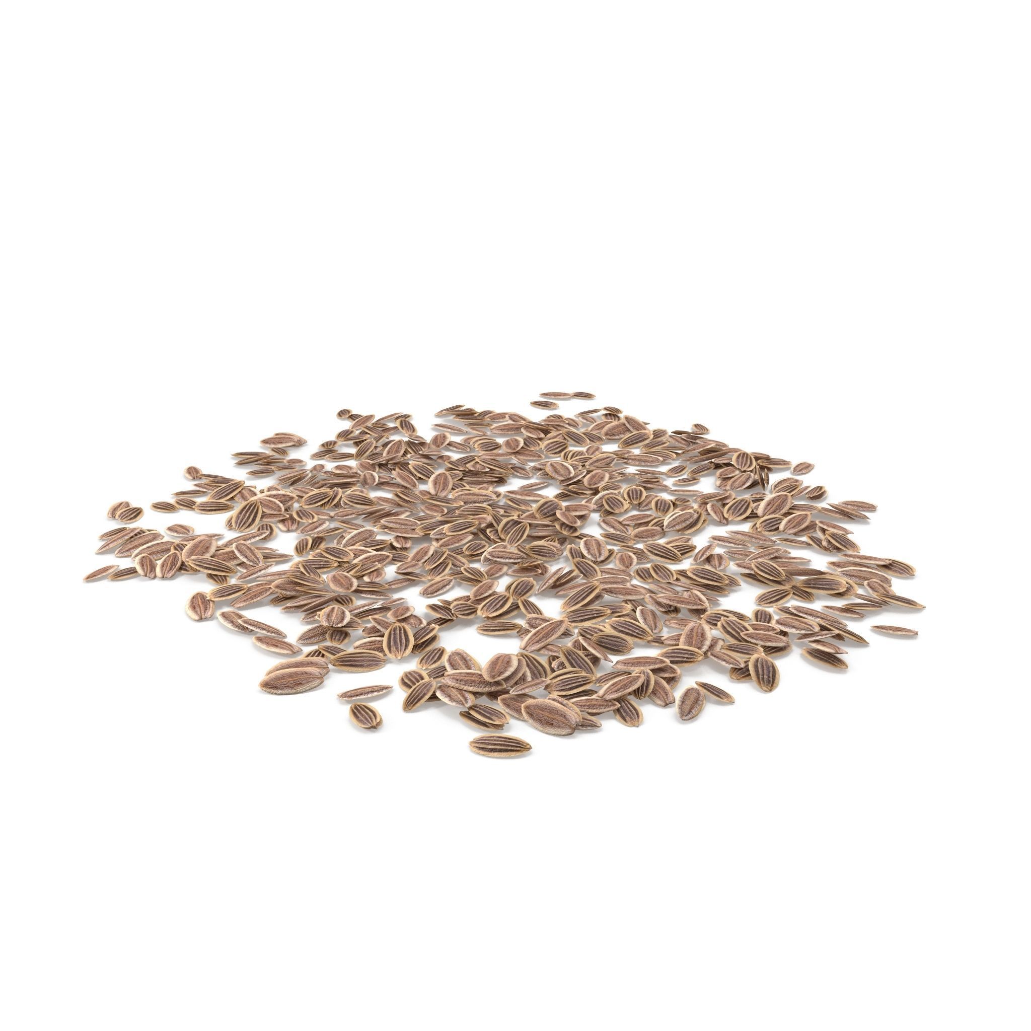 Dill Seeds V1 3D model_6