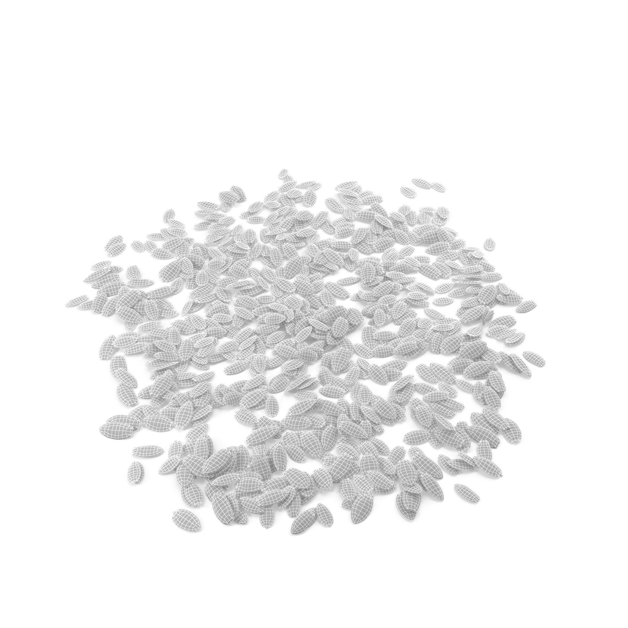 Dill Seeds V1 3D model_3