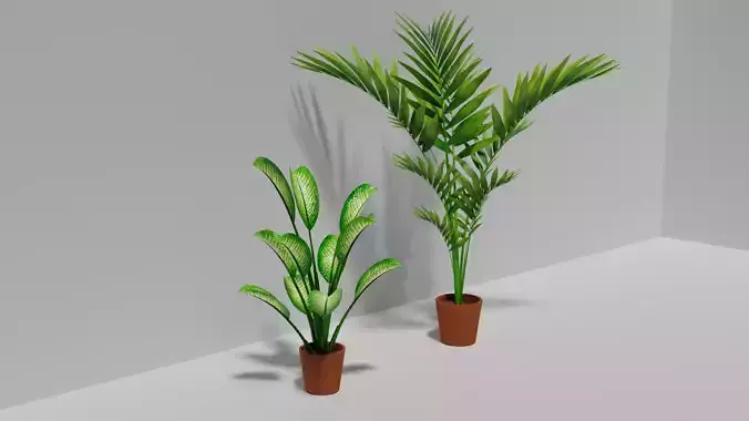 Indoor Plants