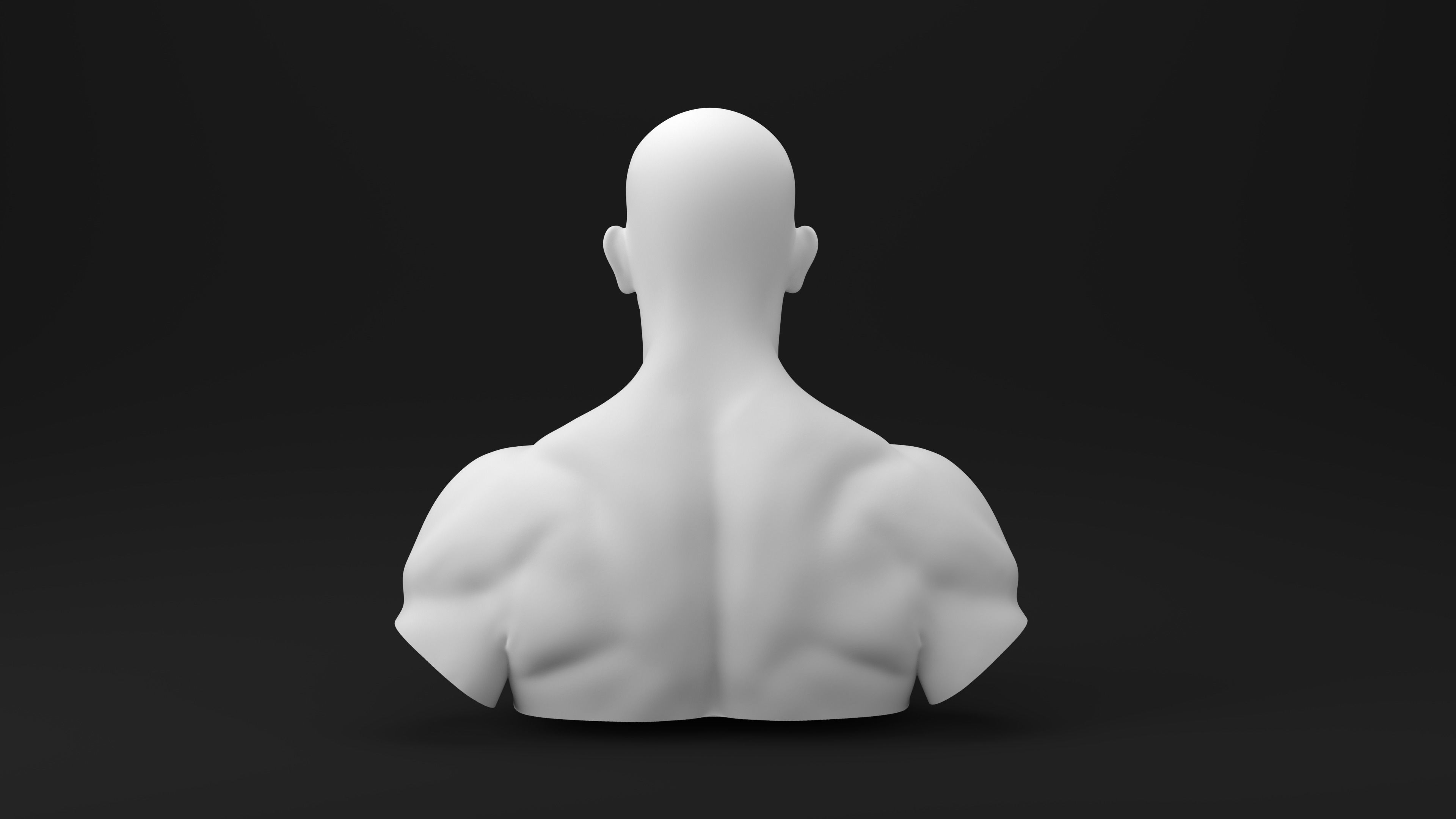 Andrew Tate Sculpture 3D Print Model Bust for 3D Printing 3D print model_3