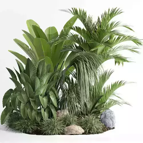 outdoor plant collection garden010