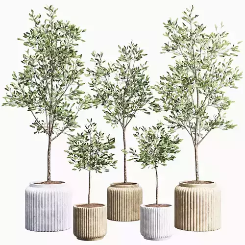 Indoor Plants set 11