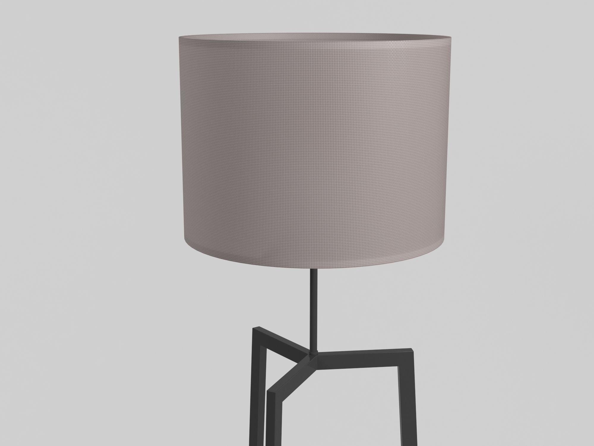 Floor Lamp 3D model_3