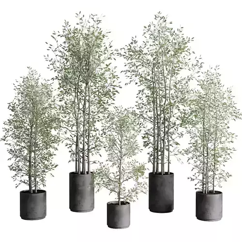 indoor plant set 375 plant tree branch bush concrete dirt vase