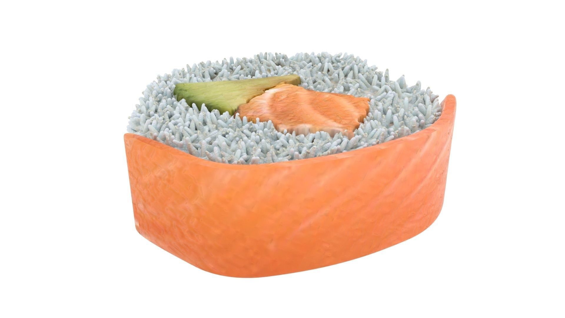 Sushi Roll With Salmon Fish 3D model_10