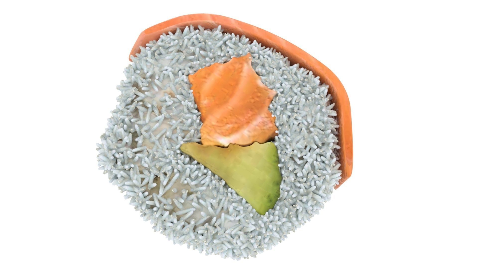 Sushi Roll With Salmon Fish 3D model_9