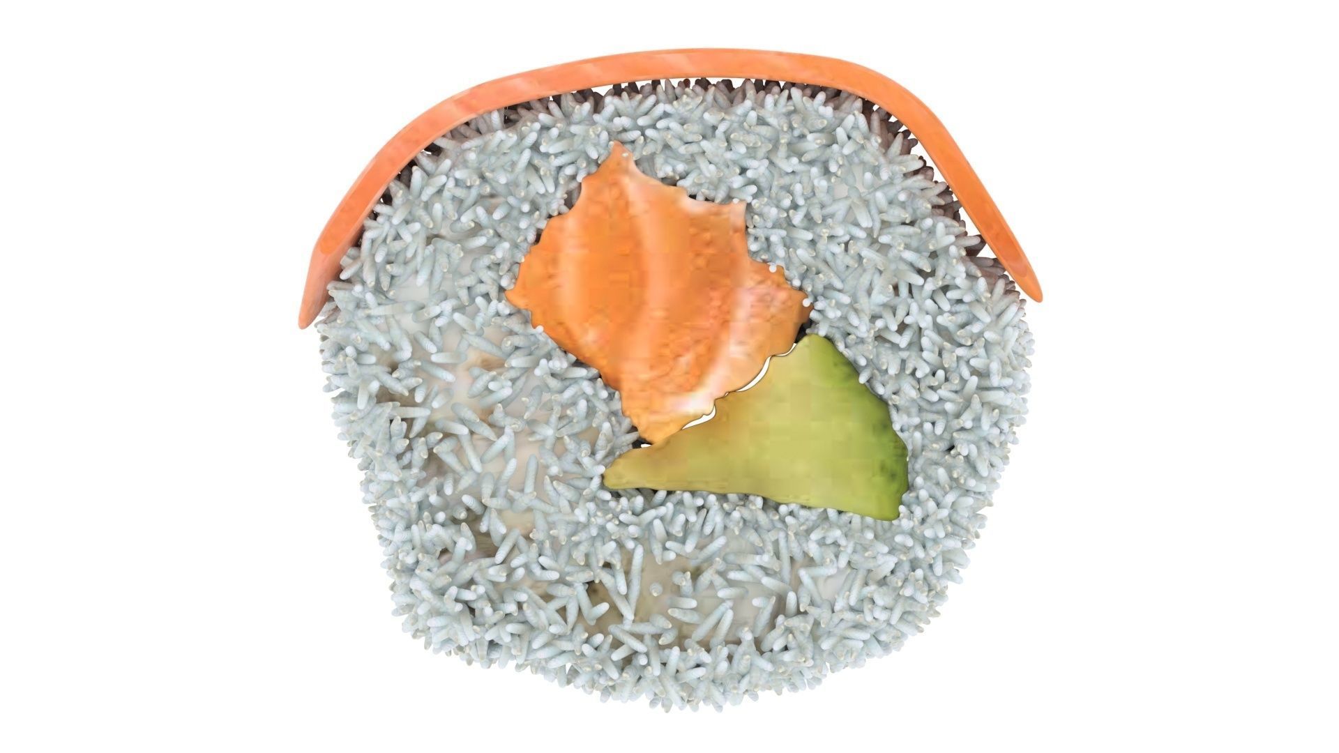 Sushi Roll With Salmon Fish 3D model_13