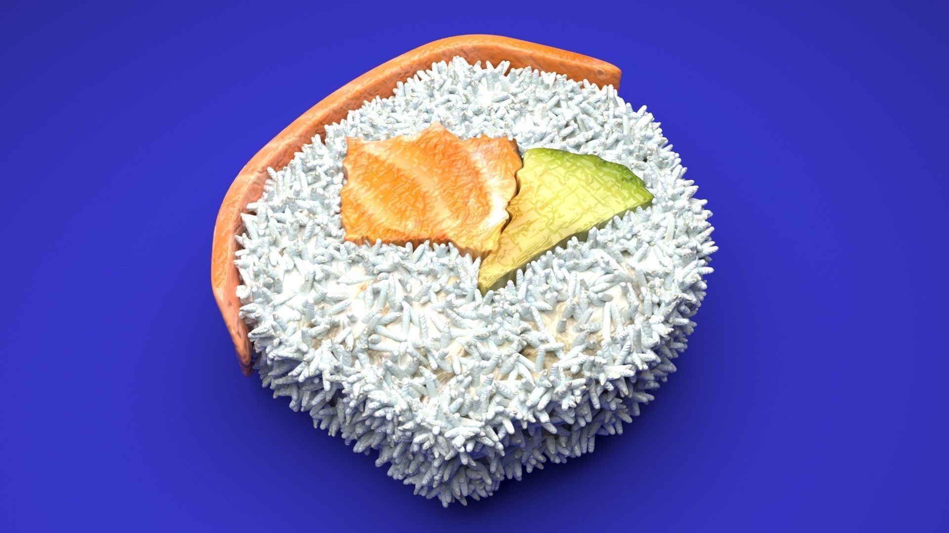 Sushi Roll With Salmon Fish 3D model_6