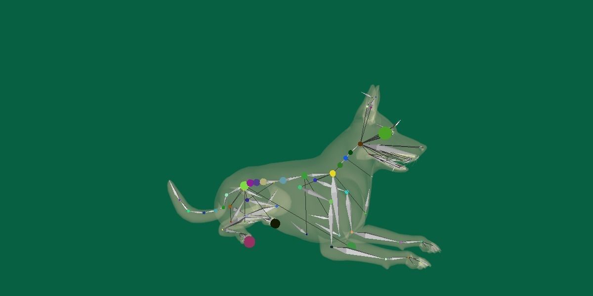 Belgian malinois 3D model_2