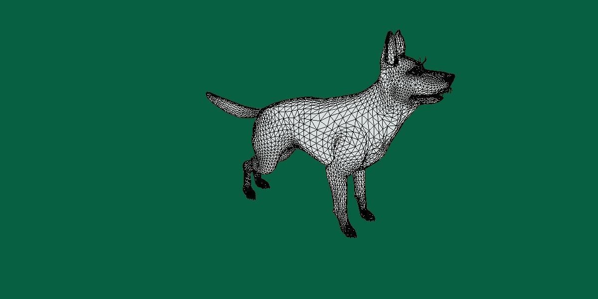 Belgian malinois 3D model_6
