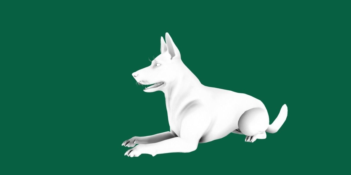 Belgian malinois 3D model_7