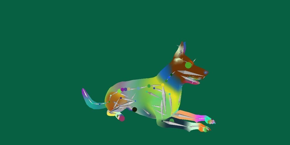 Belgian malinois 3D model_3