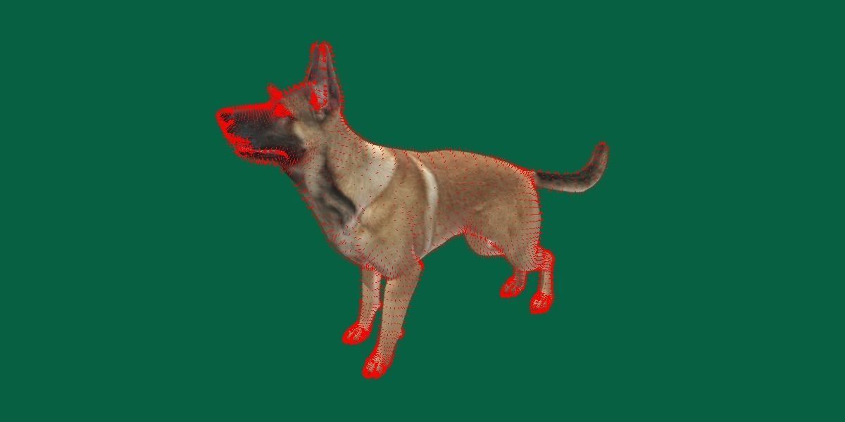 Belgian malinois 3D model_8