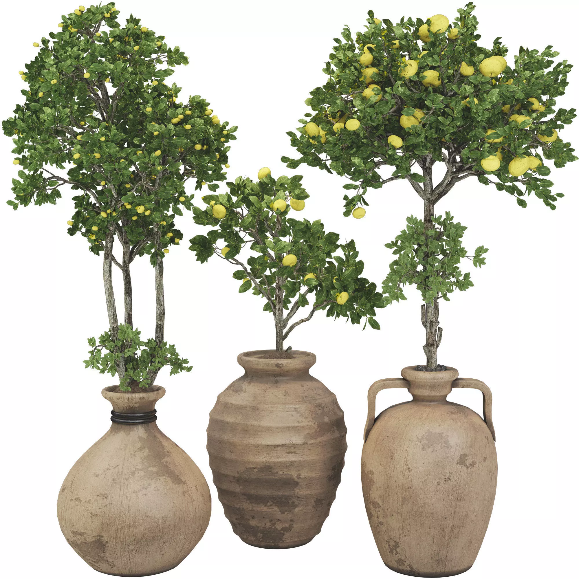 Decorative Apple Tree in Pot 121 3D model