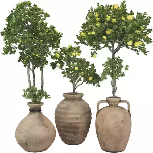 Decorative Apple Tree in Pot 121