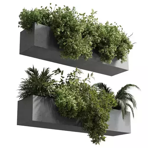 wall plant - hanging plants balcony plants outdoor plant  Low-poly 3D model
