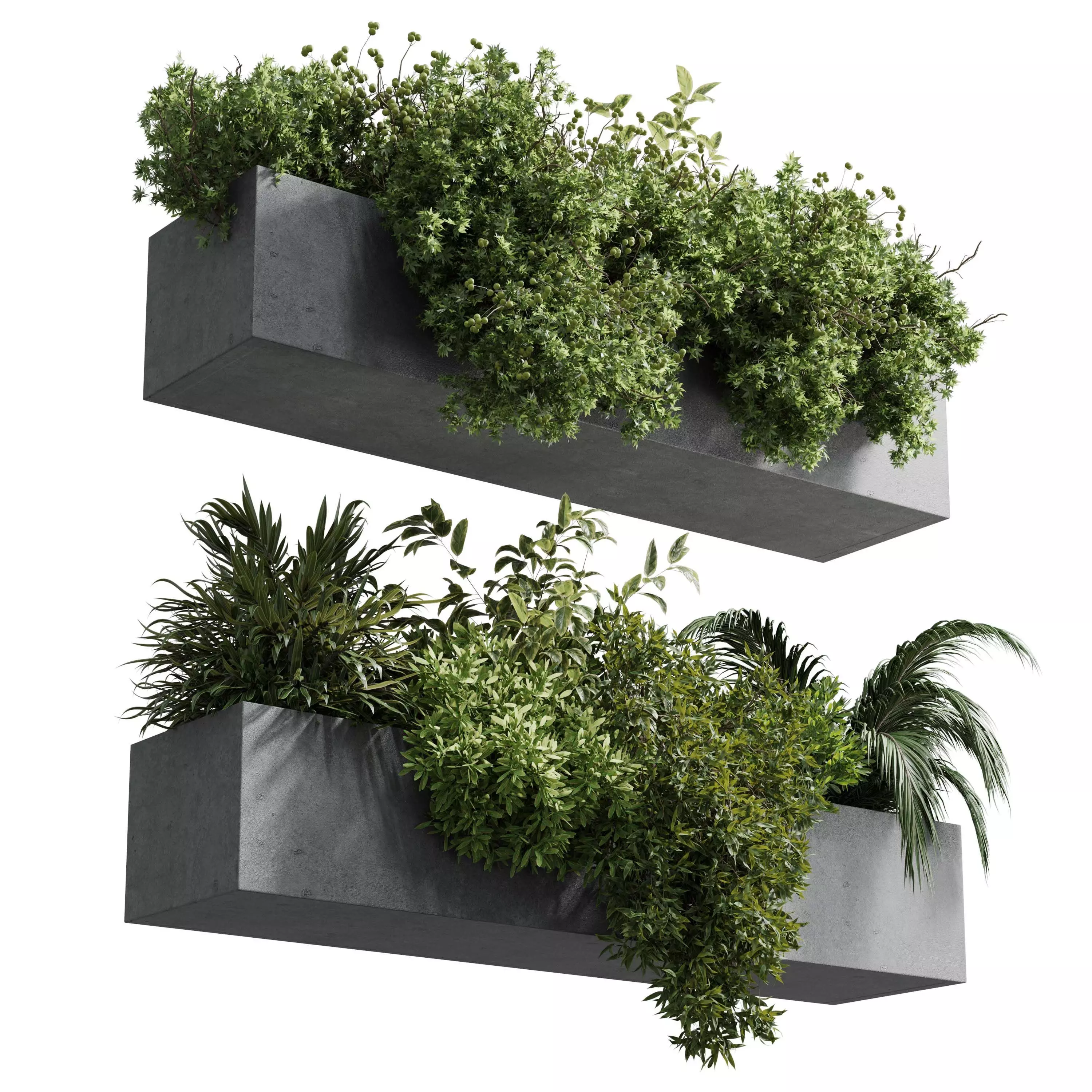 wall plant - hanging plants balcony plants outdoor plant  Low-poly 3D model_0
