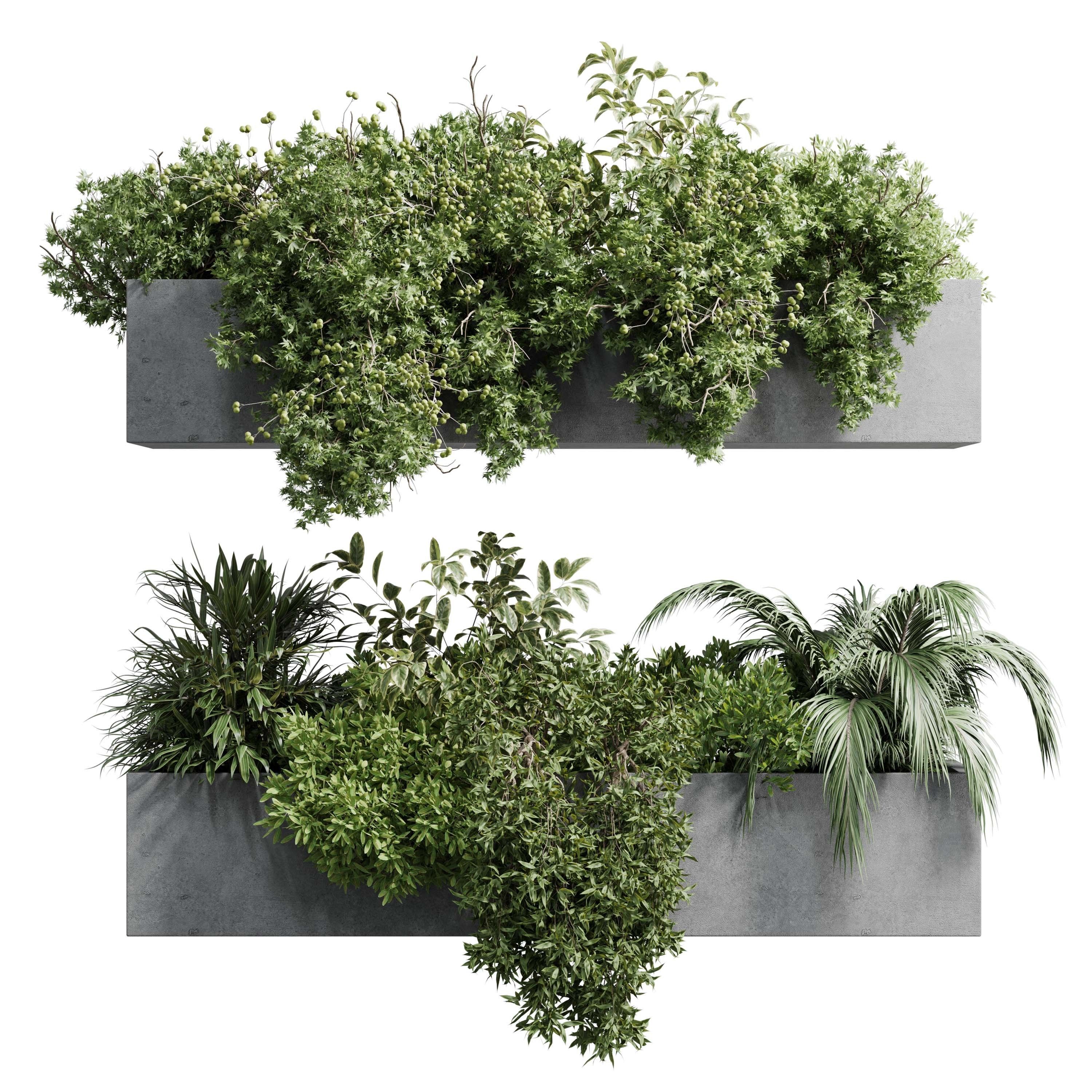 wall plant - hanging plants balcony plants outdoor plant  Low-poly 3D model_1