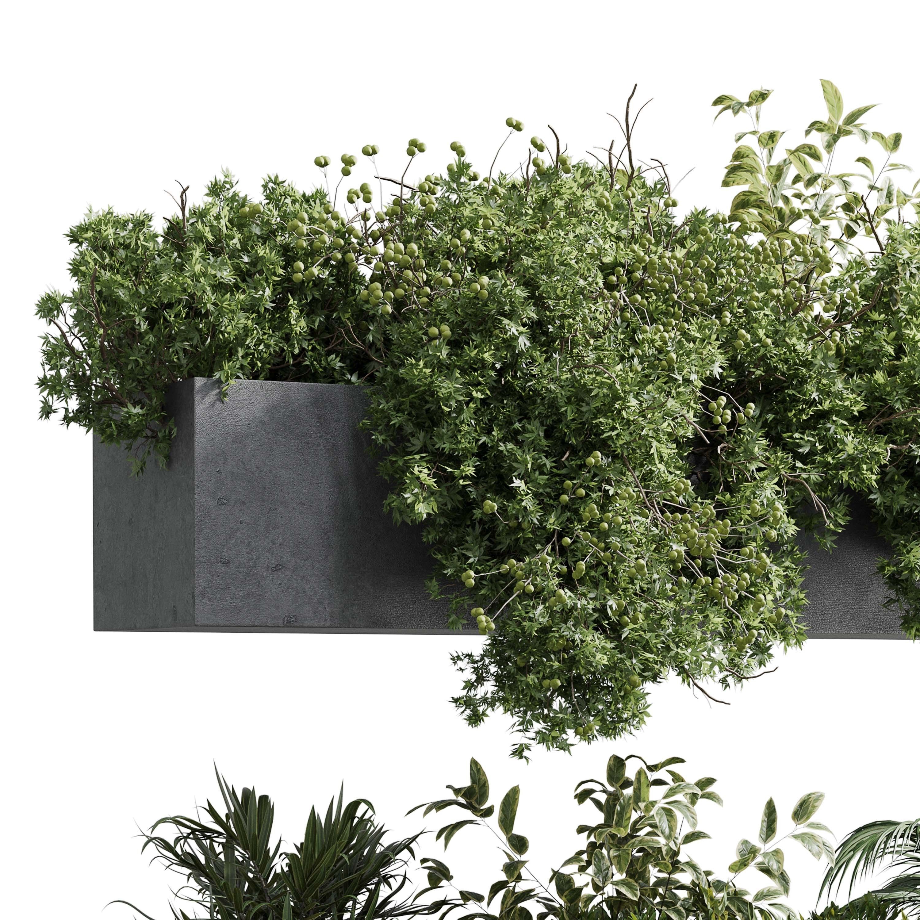 wall plant - hanging plants balcony plants outdoor plant  Low-poly 3D model_2