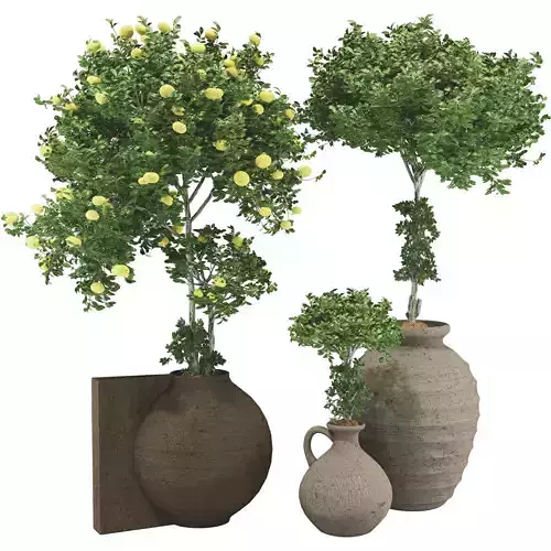 Decorative Apple Tree in Pot 120 3D model
