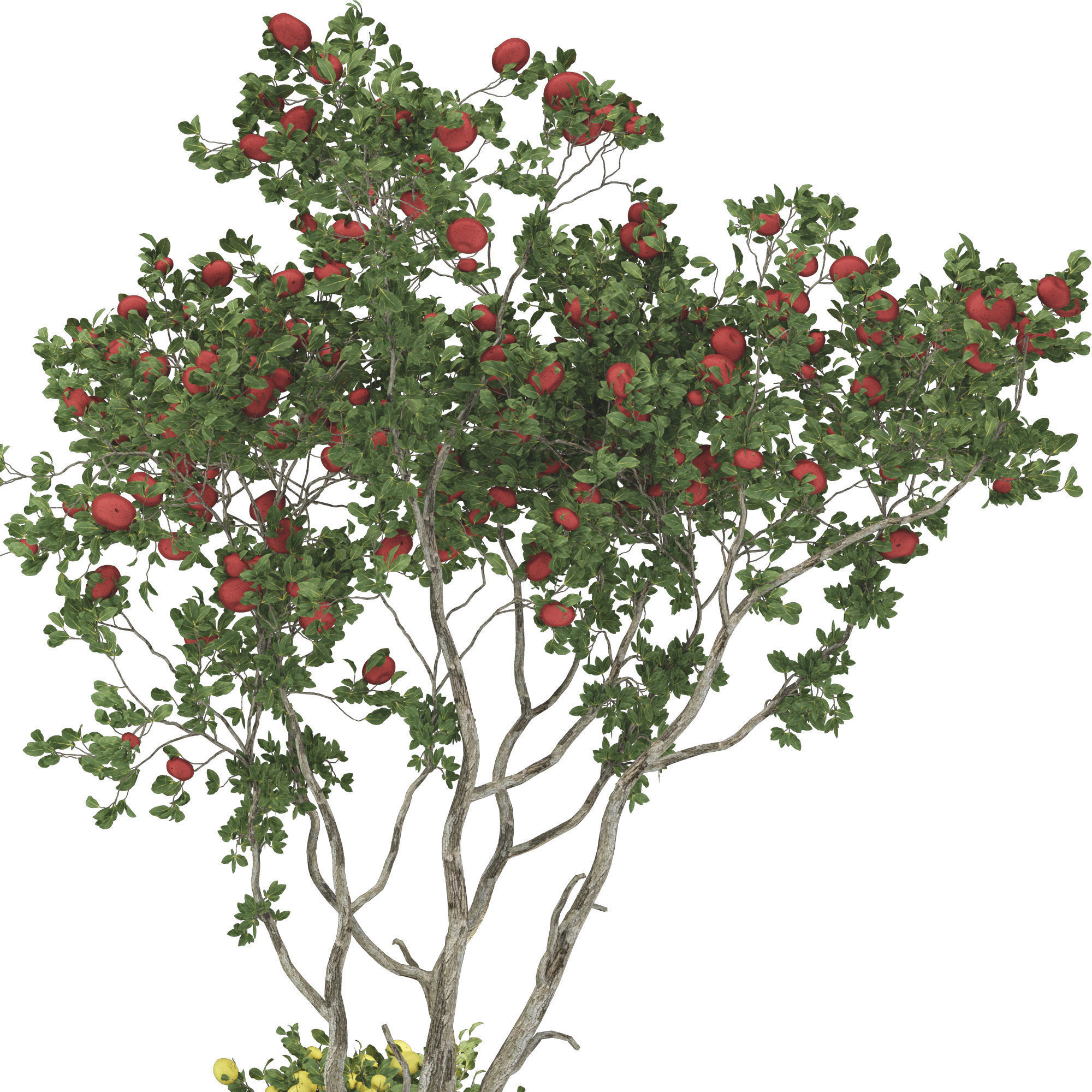 Garden Bench Apple Tree and Bush 118 3D model_2