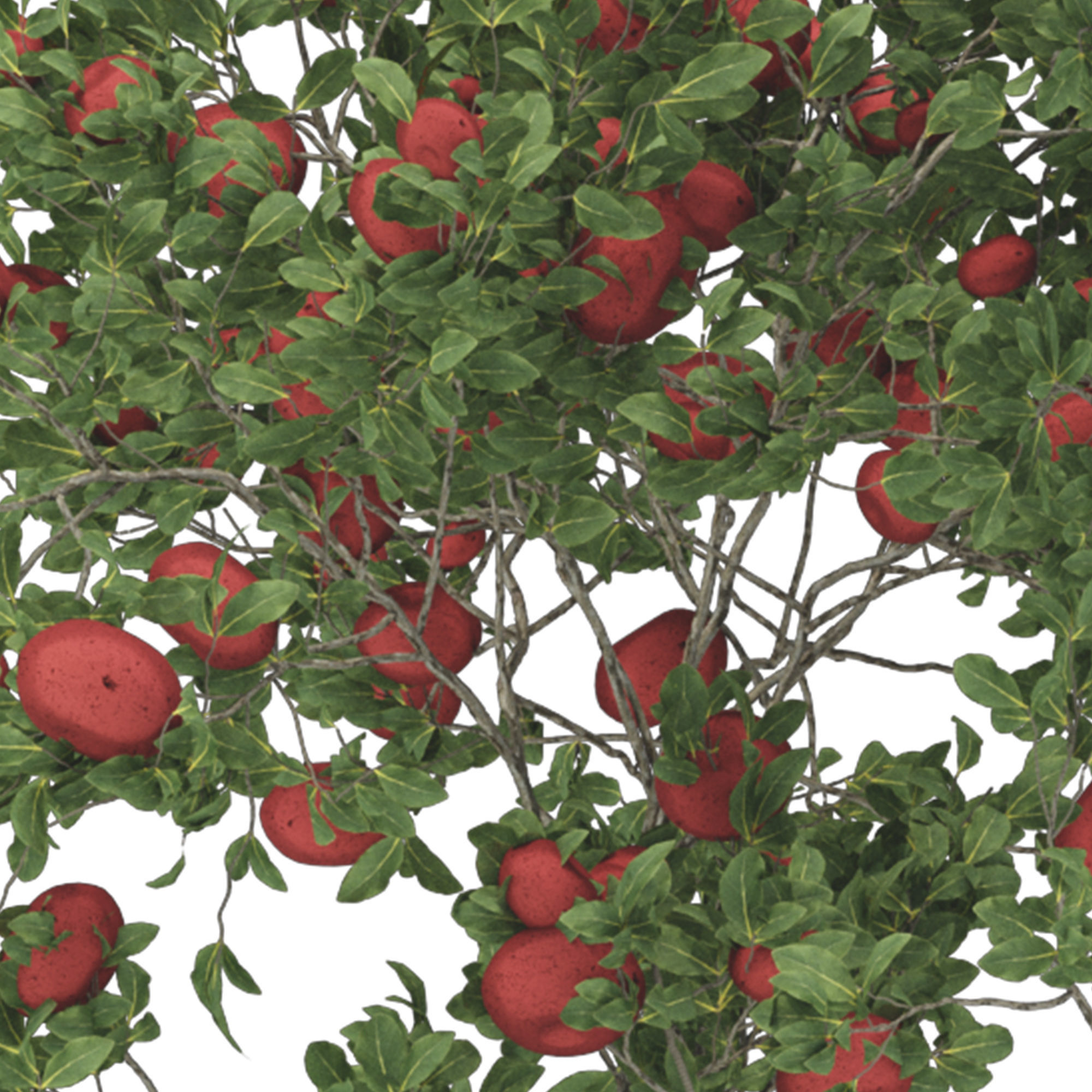 Garden Bench Apple Tree and Bush 118 3D model_5
