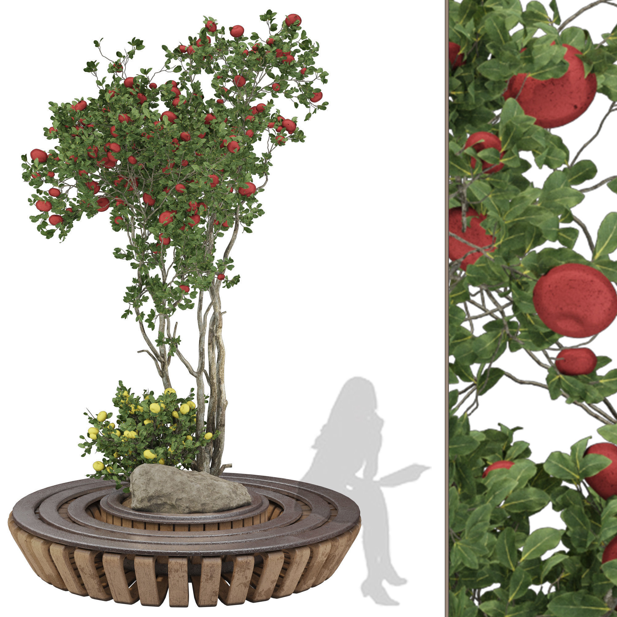 Garden Bench Apple Tree and Bush 118 3D model_1
