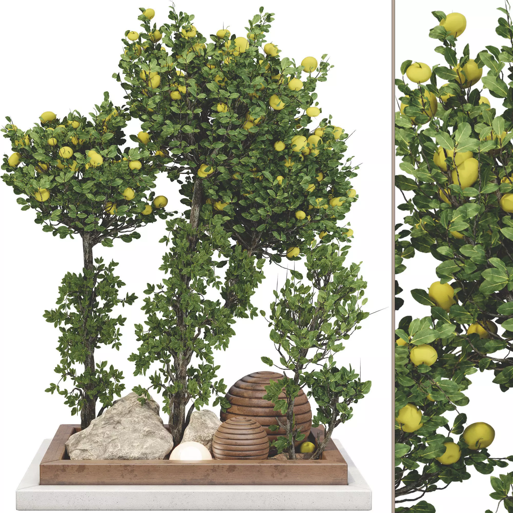 Outdoor Apple Tree Garden 115 3D model