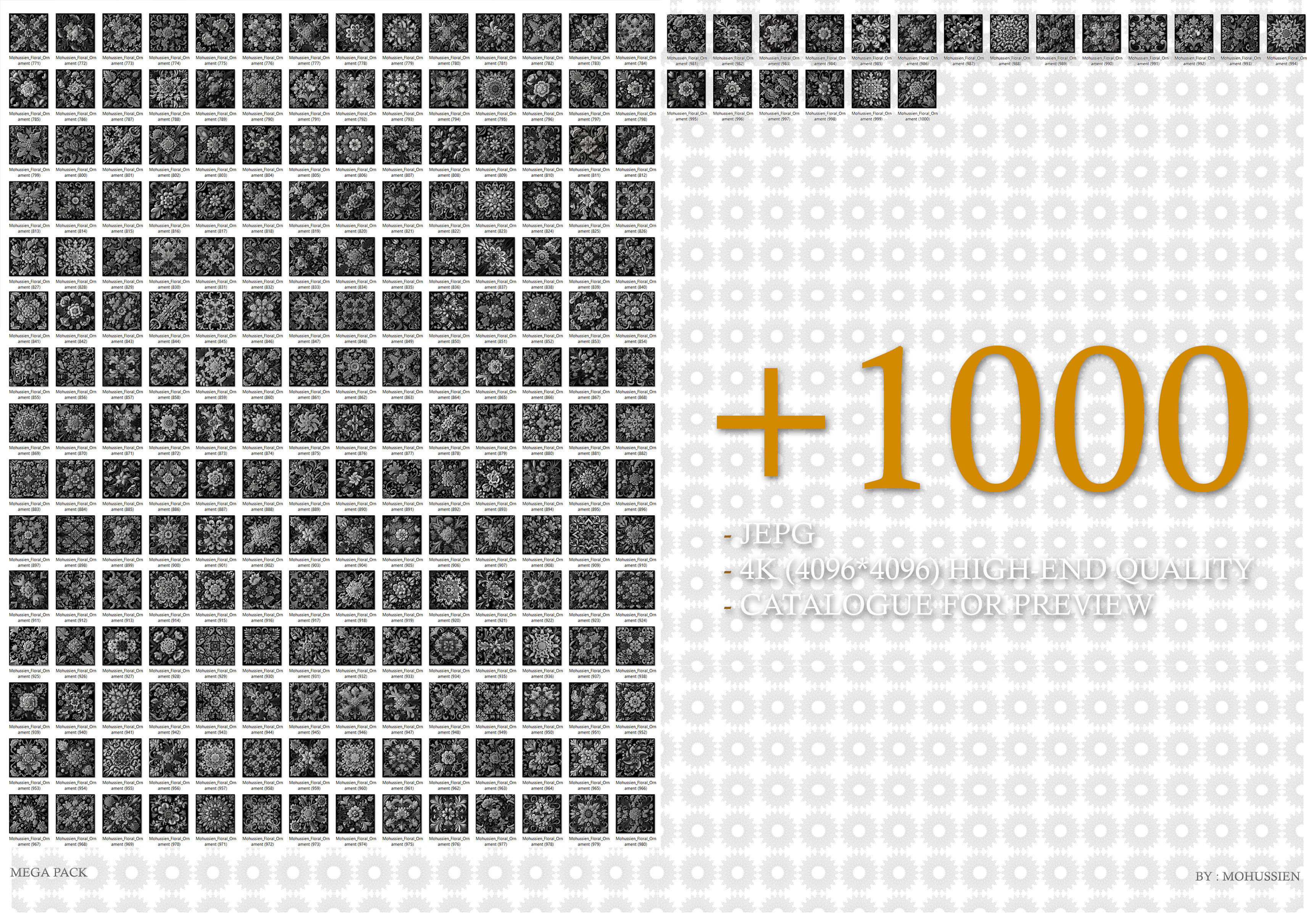 collection of floral ornaments  3D model_3