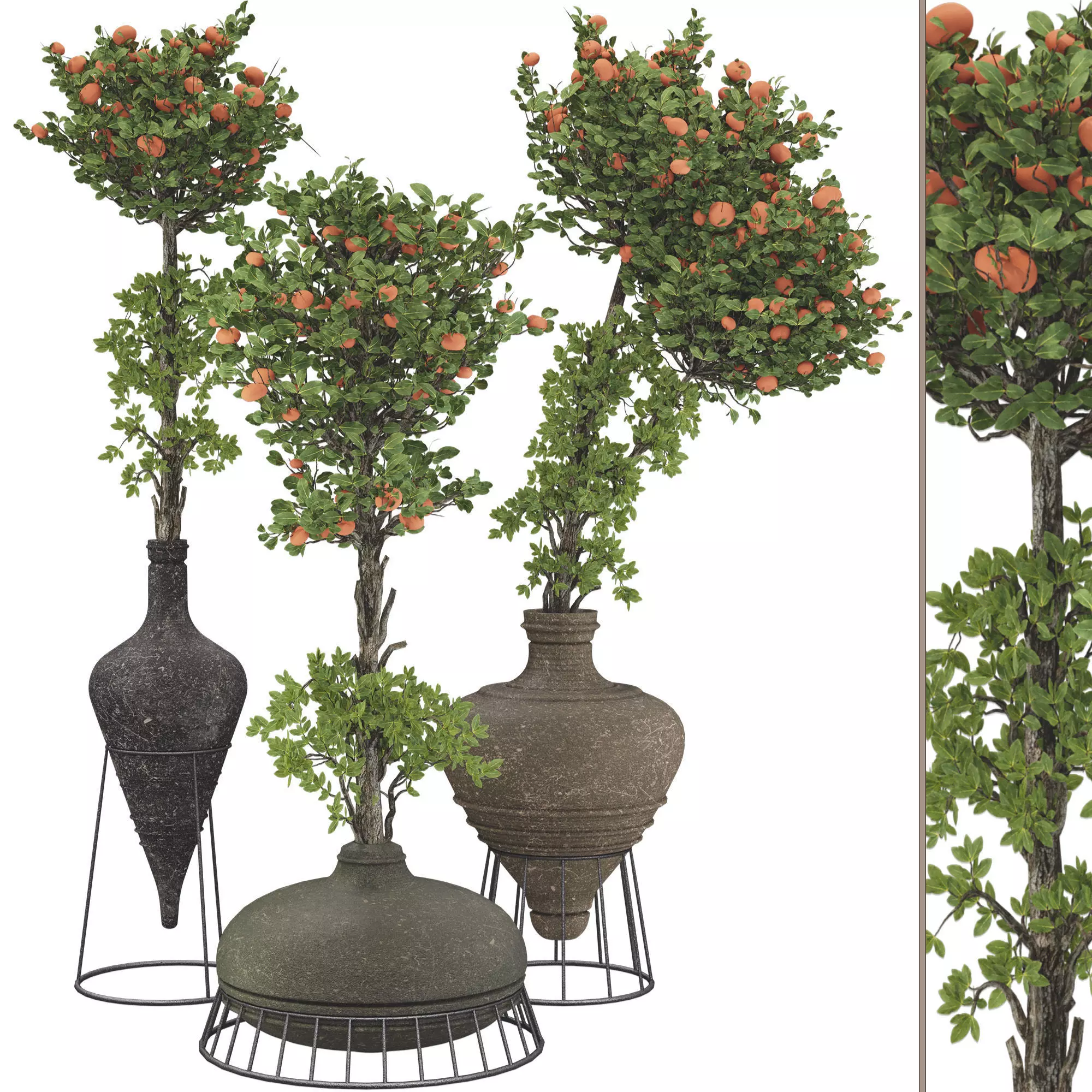 Decorative Tangerine Tree in Pot 114 3D model_0