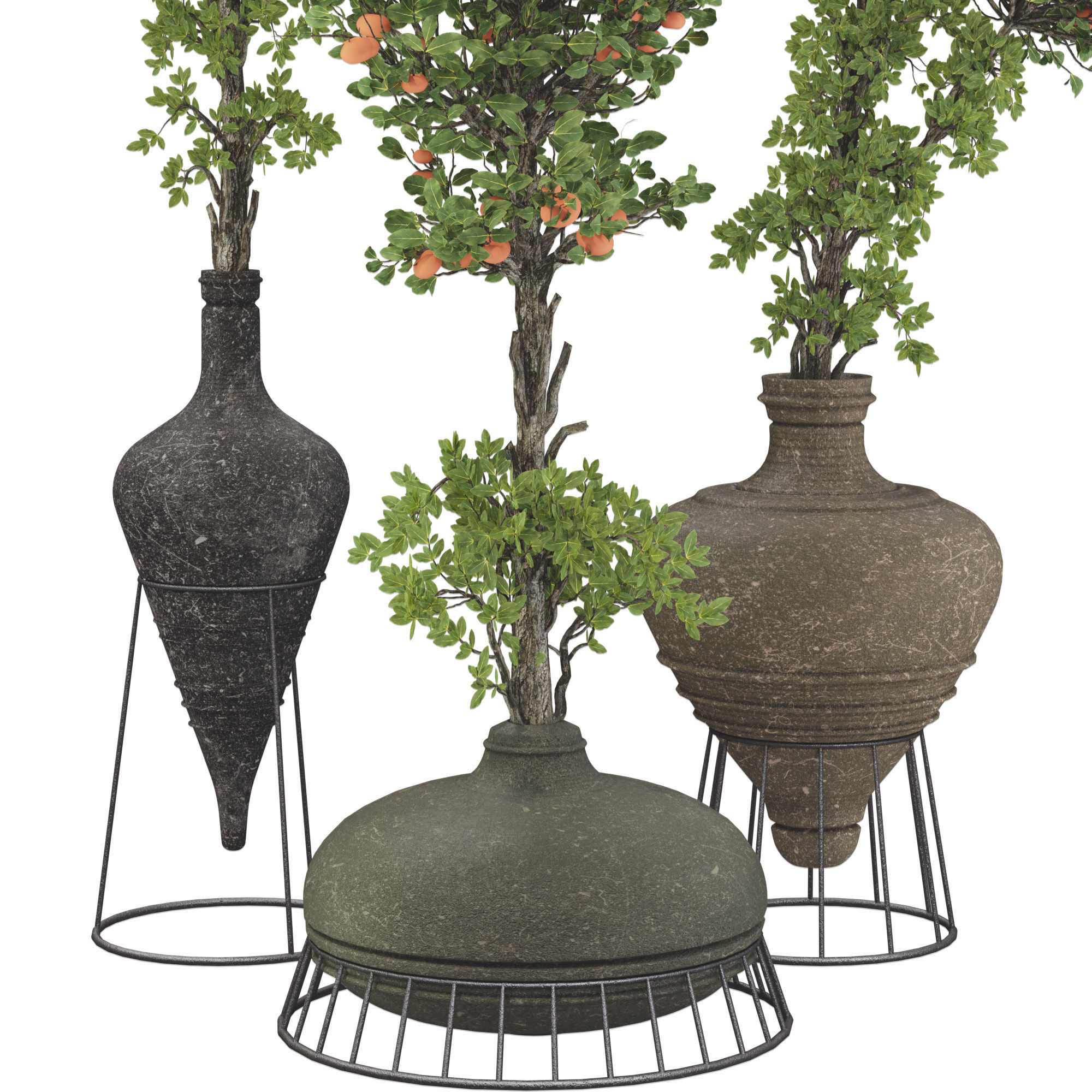 Decorative Tangerine Tree in Pot 114 3D model_3