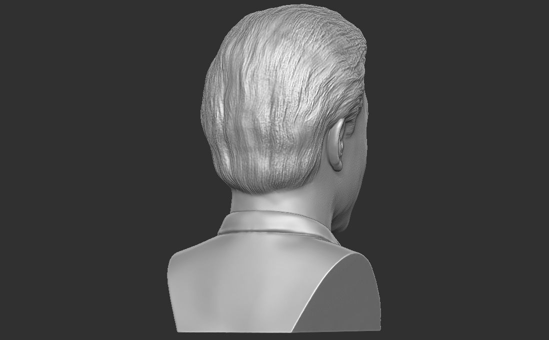 Jerry Seinfeld bust for 3D printing 3D print model_14