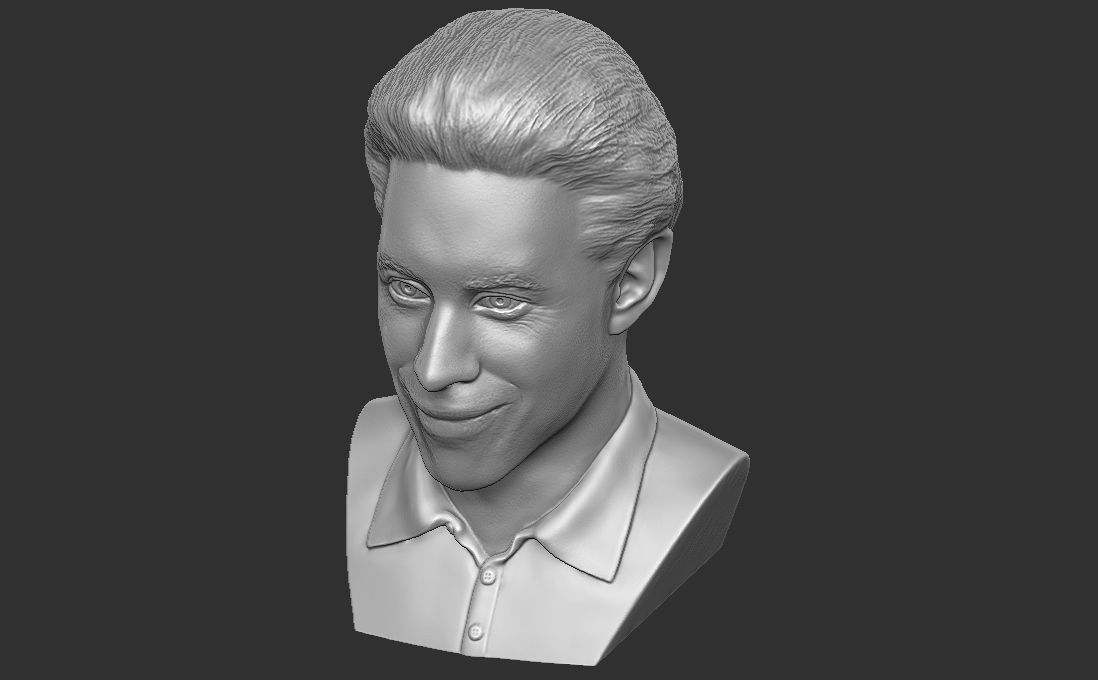 Jerry Seinfeld bust for 3D printing 3D print model_28